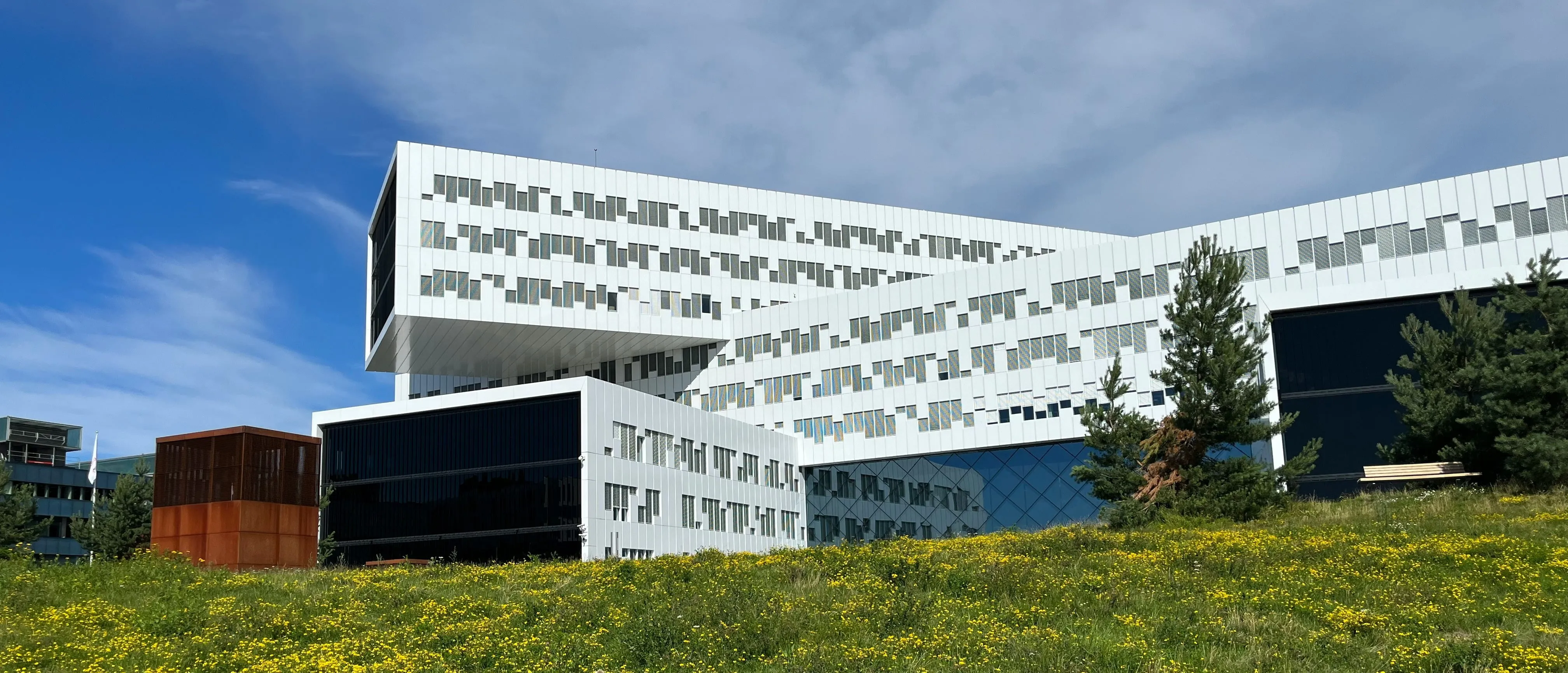 Modern Building